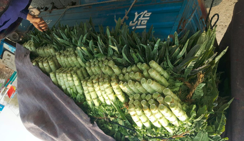 莴笋大量上市一次交易终身朋友支持视频看货量大从优