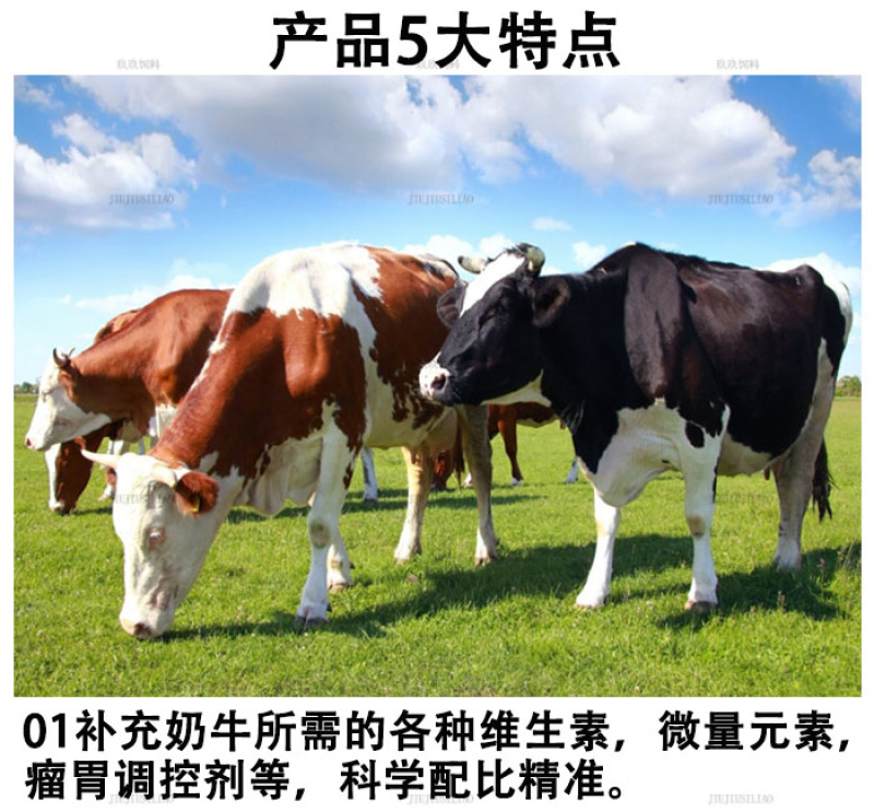 奶牛预混料产奶牛饲料产奶含量高奶质好营养均衡