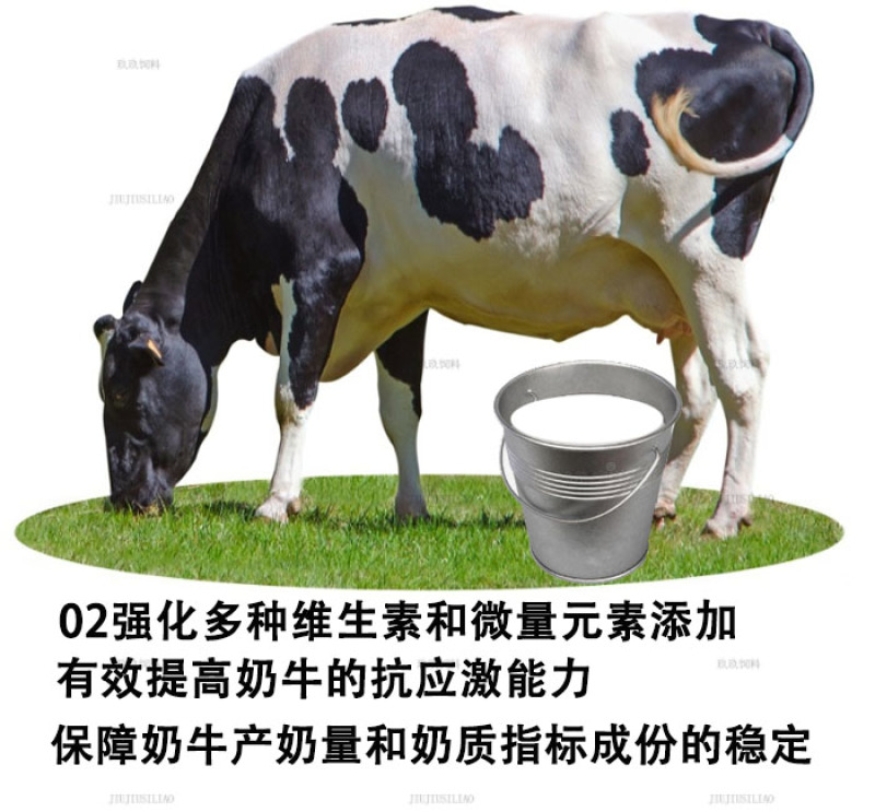 奶牛预混料产奶牛饲料产奶含量高奶质好营养均衡