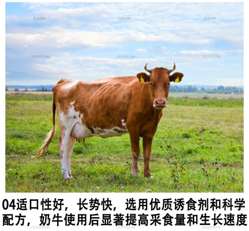 奶牛预混料产奶牛饲料产奶含量高奶质好营养均衡