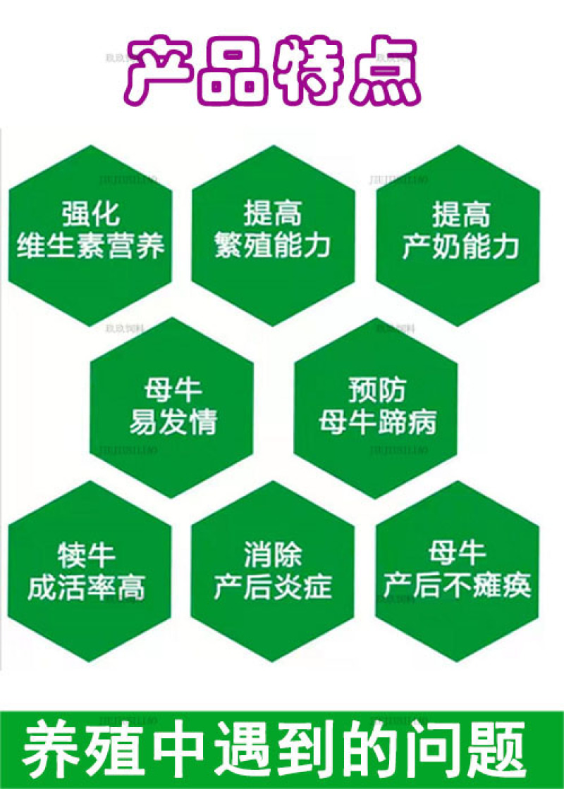 母牛预混料繁殖种牛用饲料助发情多产奶预防产后疾病提高配种