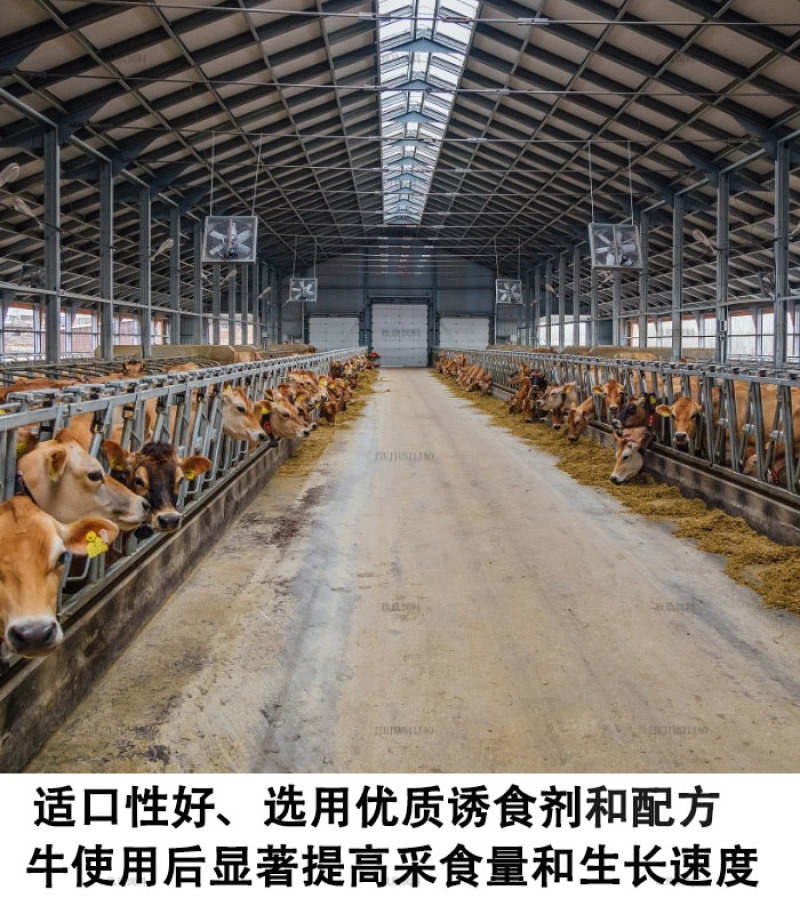 小牛预混料犊牛生长用饲料批发易吸收拉大骨架皮毛好顺滑体格