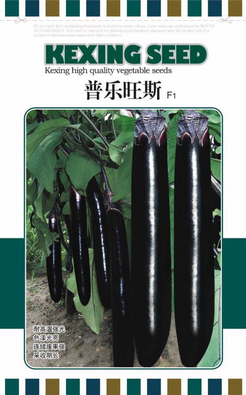 露地耐热茄子种子黑亮形茄子种子高秧墨茄种子黑茄子种子