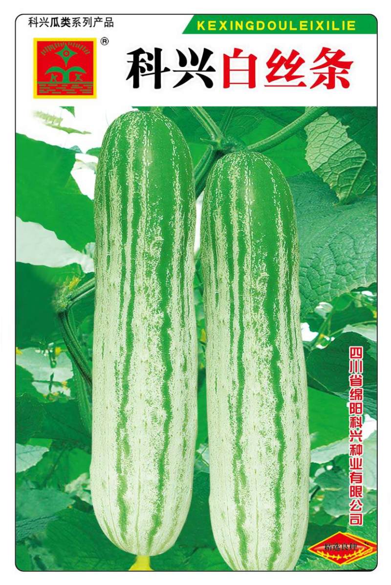黄瓜种子
