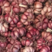 精品紫皮大蒜大量现货供应中，货源充足，保质保量，代发全国