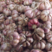 精品紫皮大蒜大量现货供应中，货源充足，保质保量，代发全国