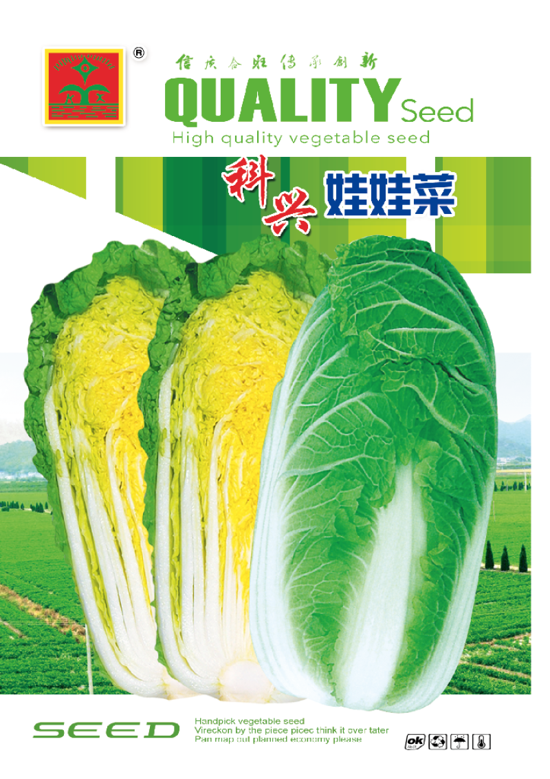 娃娃菜种子生长快上市早周期短经济效益好耐热耐湿
