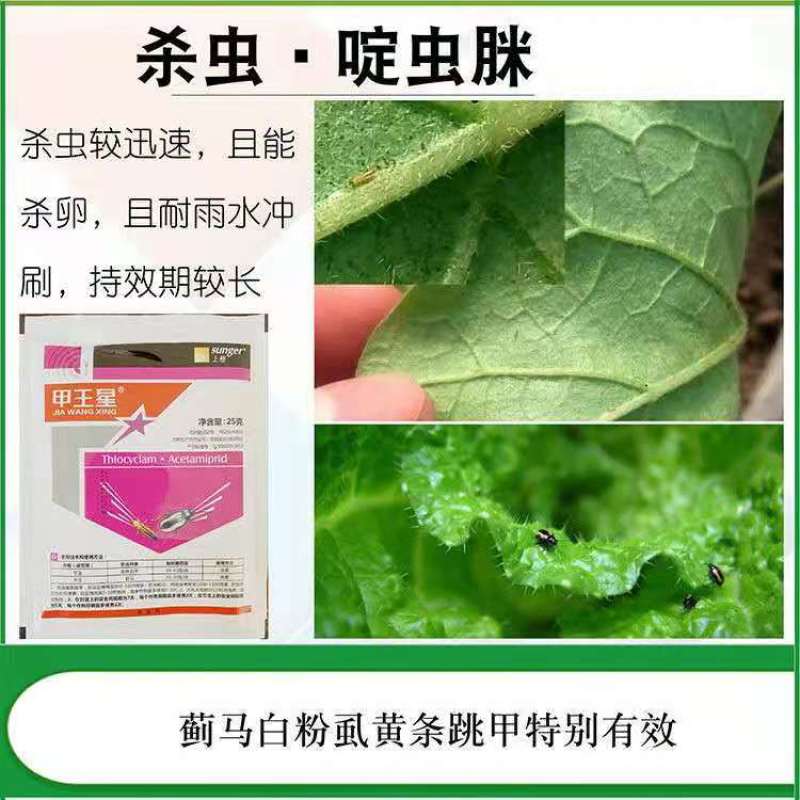 甲王星28%杀虫环啶虫脒多肉黄条跳甲白粉虱蚜虫蓟马杀虫剂