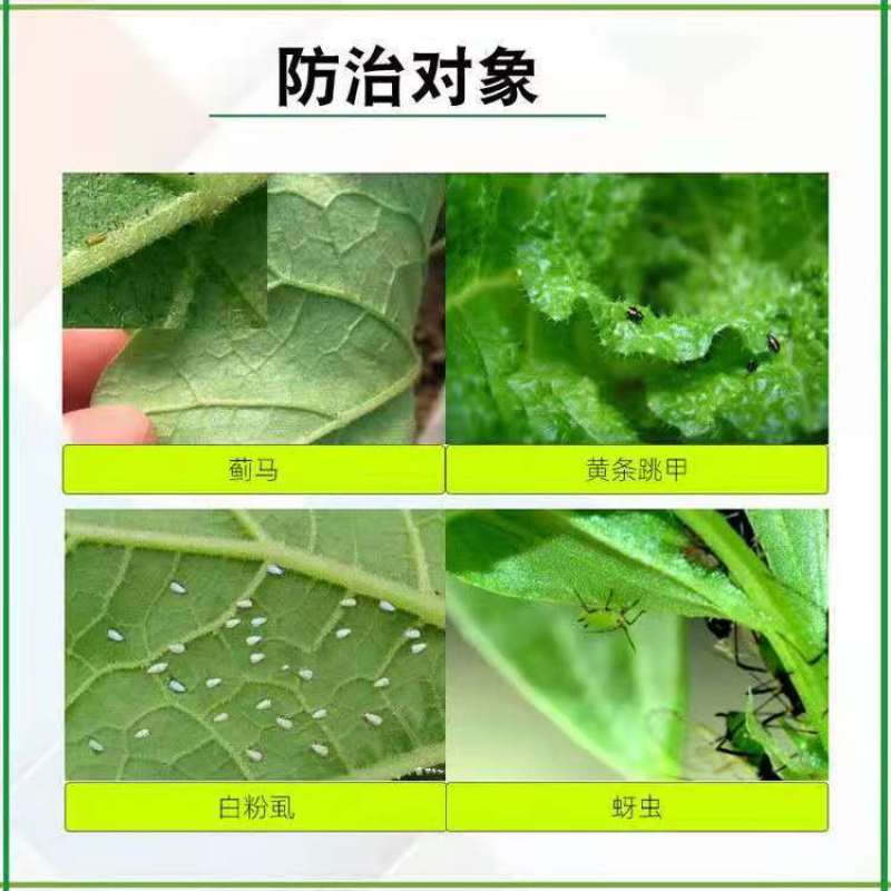 甲王星28%杀虫环啶虫脒多肉黄条跳甲白粉虱蚜虫蓟马杀虫剂