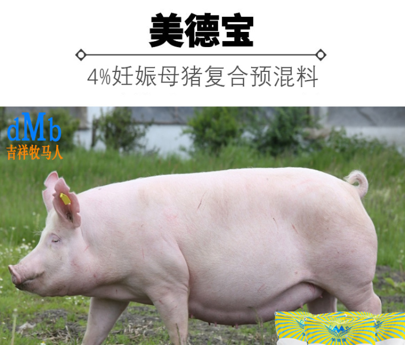 母猪预混料妊娠猪饲料怀孕备母猪营养复合维生素矿物质美
