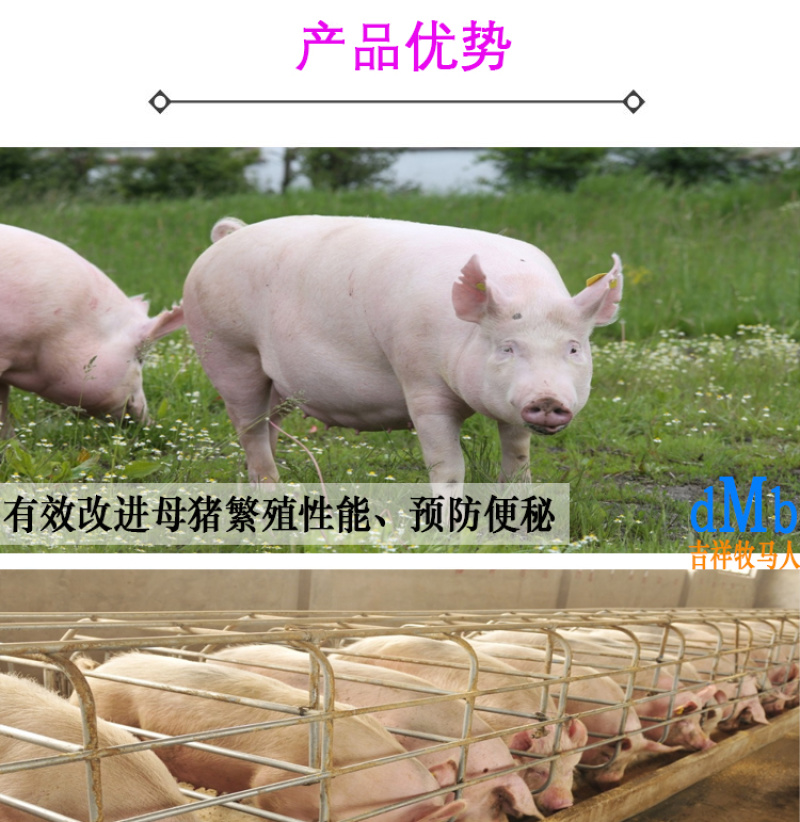 母猪预混料妊娠猪饲料怀孕备母猪营养复合维生素矿物质美