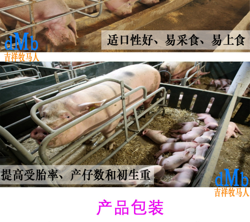 母猪预混料妊娠猪饲料怀孕备母猪营养复合维生素矿物质美