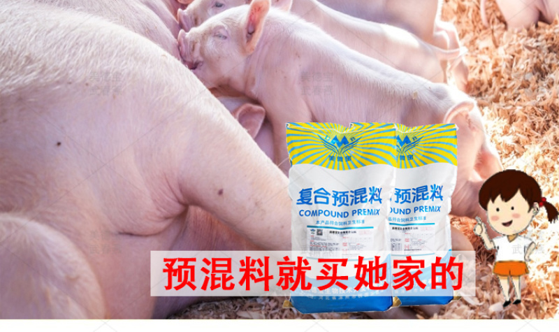 母猪哺乳预混料繁殖后备猪怀孕期三元长白太湖杜洛克藏香黑猪
