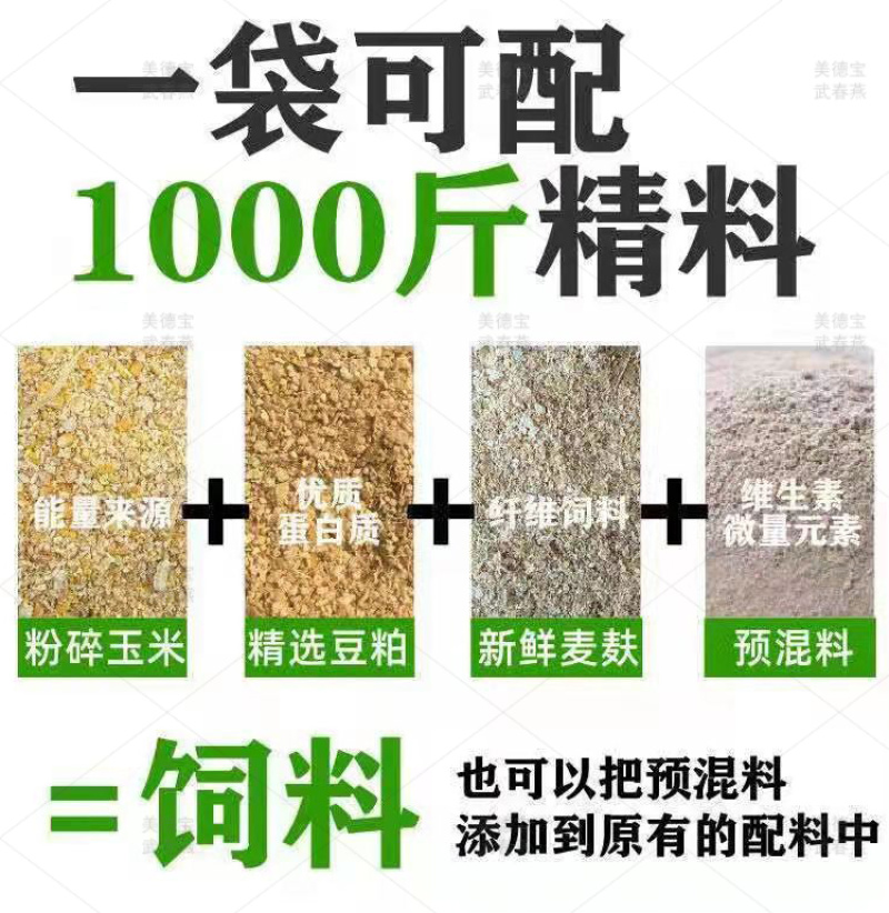 母猪哺乳预混料繁殖后备猪怀孕期三元长白太湖杜洛克藏香黑猪