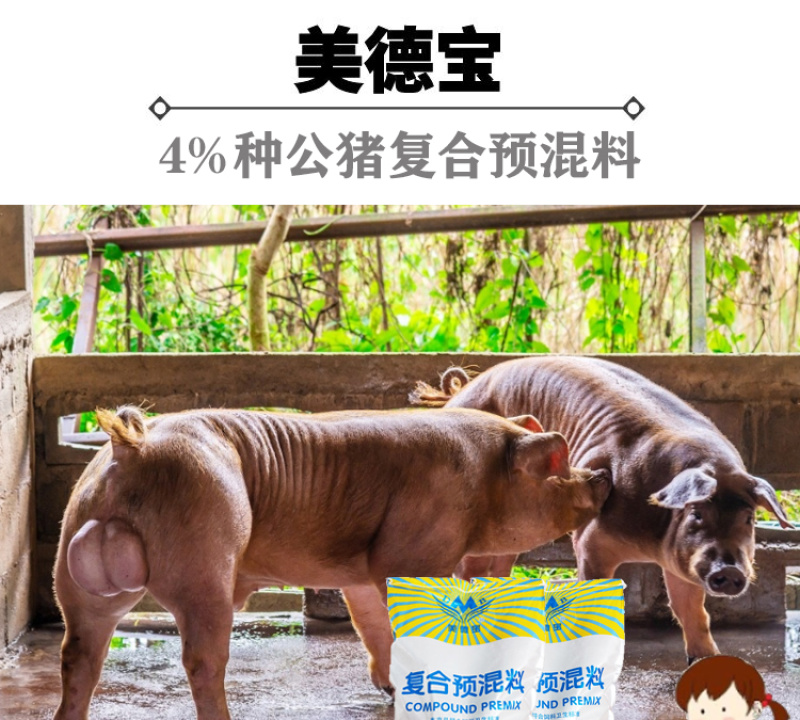 种公猪预混料公猪专用促进发情配种产仔多长白三元皮特兰公猪