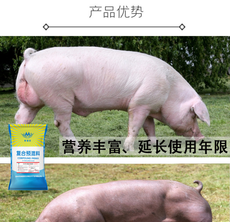 种公猪预混料公猪专用促进发情配种产仔多长白三元皮特兰公猪
