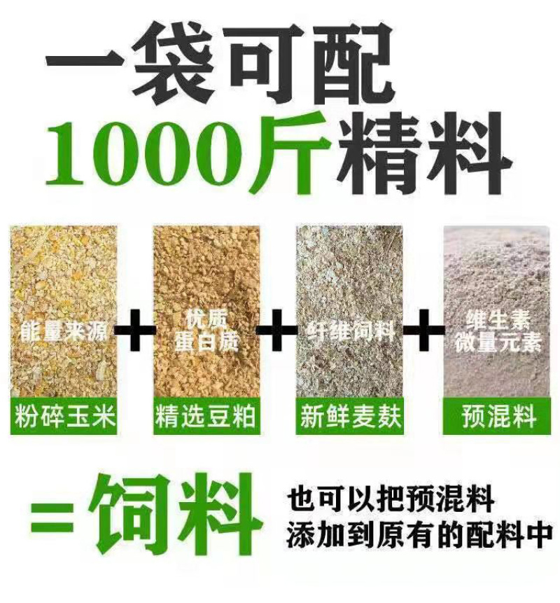 种公猪预混料公猪专用促进发情配种产仔多长白三元皮特兰公猪