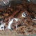 风干猪肉猪肉条猪肉片麻辣五香一手货源支持一件代发