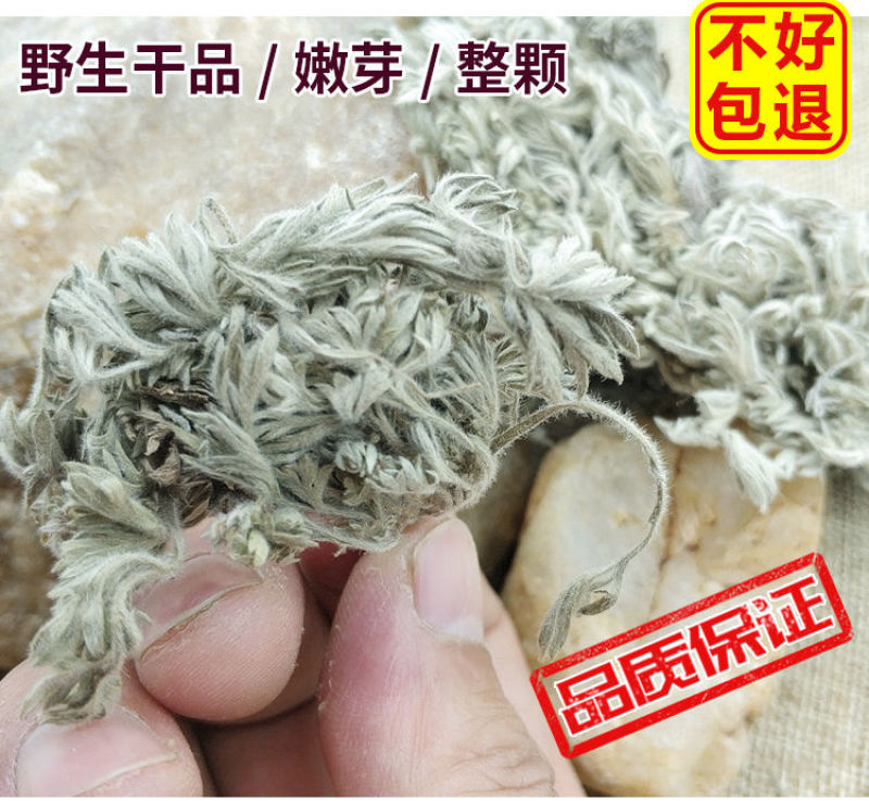 干品新货茵陈草三月正品白蒿绵棉茵陈锦茵陈中草药