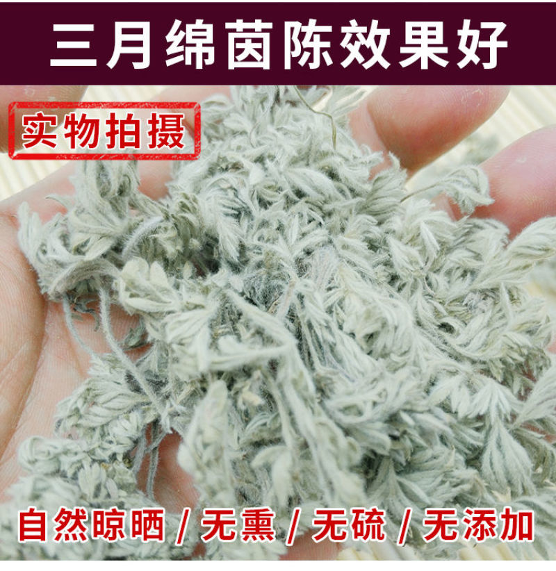 干品新货茵陈草三月正品白蒿绵棉茵陈锦茵陈中草药