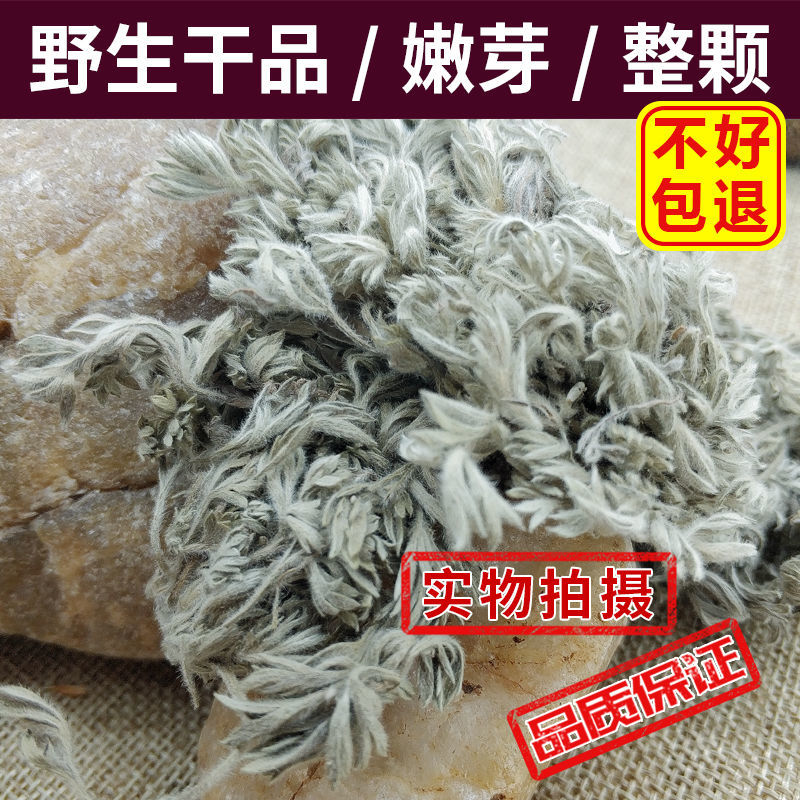 干品新货茵陈草三月正品白蒿绵棉茵陈锦茵陈中草药