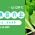 云南优选玉溪辣椒苗清秀整齐，根系好成活高，品种全产量高
