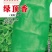 青尖叶莴笋种子春秋青尖叶
