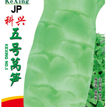 科兴五号科兴九号莴笋种子耐热尖叶