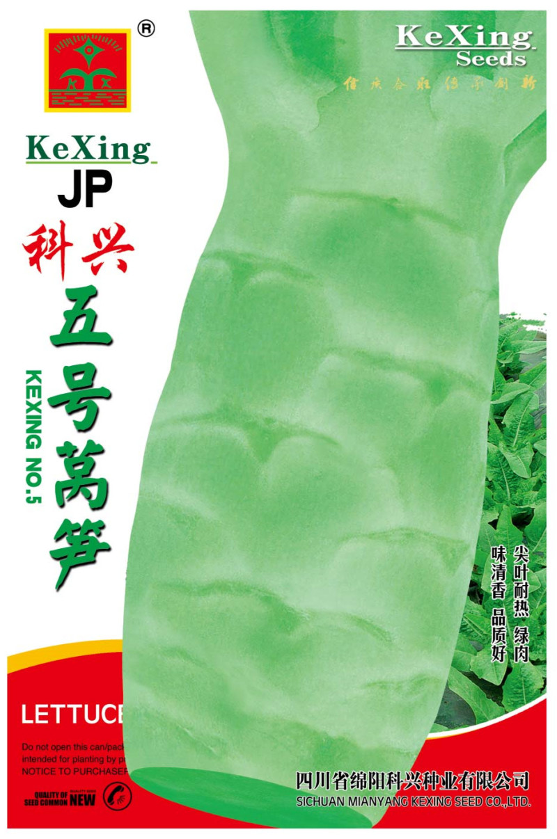 科兴五号科兴九号莴笋种子耐热尖叶
