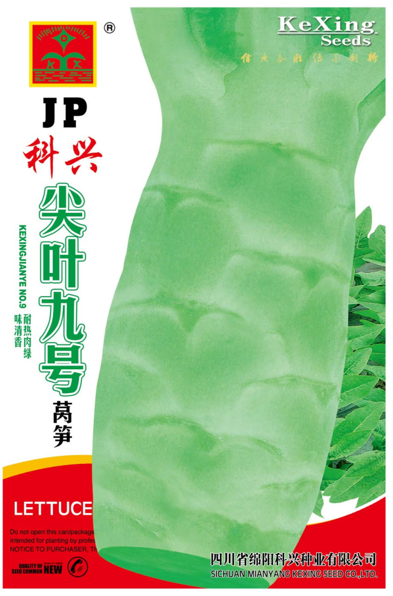 科兴五号科兴九号莴笋种子耐热尖叶