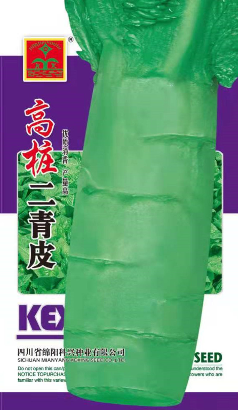 高桩莴笋种子节稀青皮青肉竹节竹筒型不易鼓包