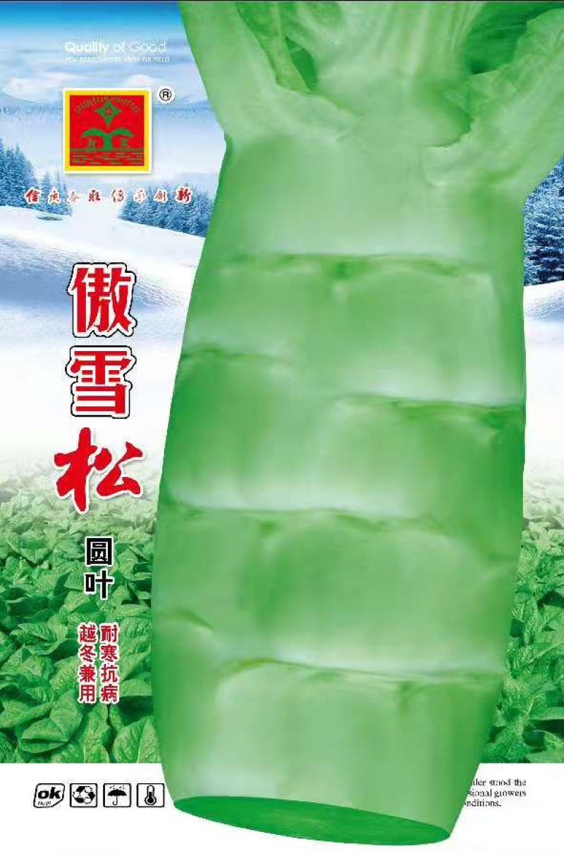 优质白皮大棒形圆叶莴笋种子绿白皮青肉香莴笋