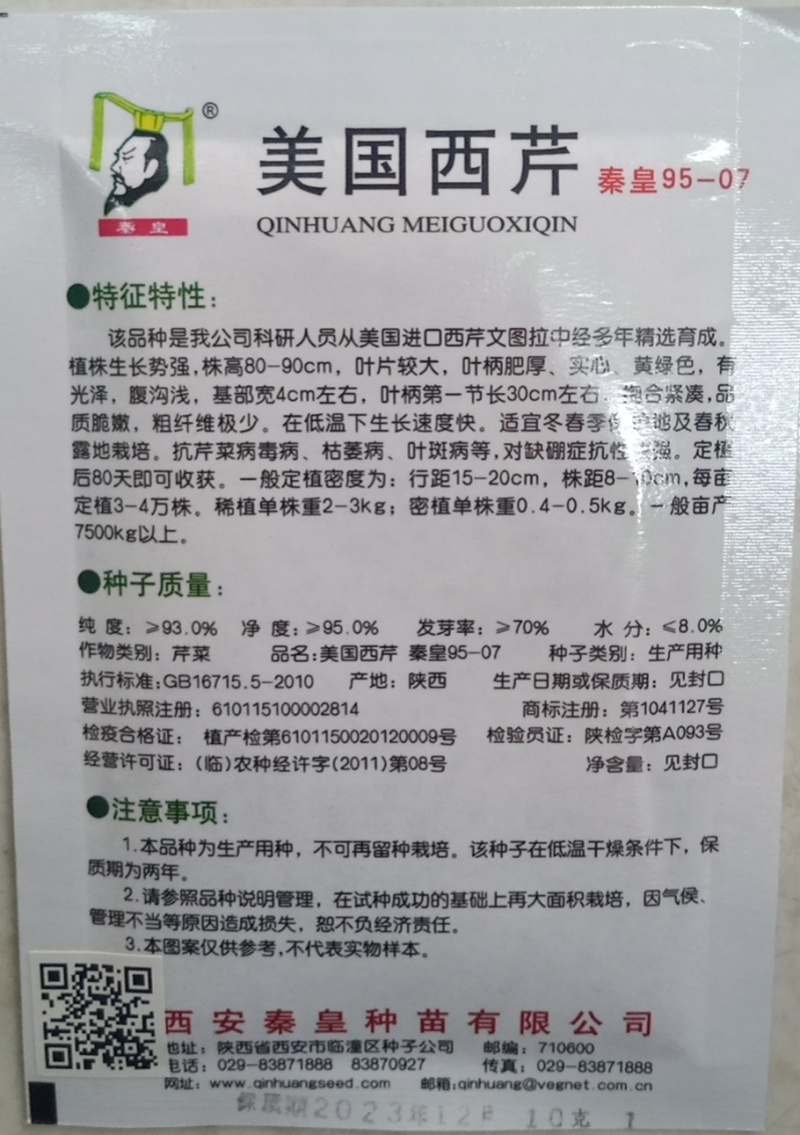 优质西芹种子美国皇后西芹种子