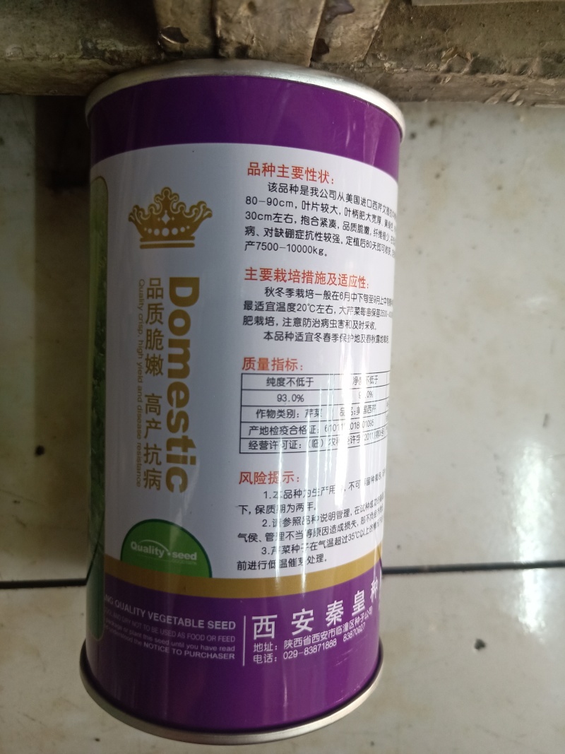 优质西芹种子美国皇后西芹种子