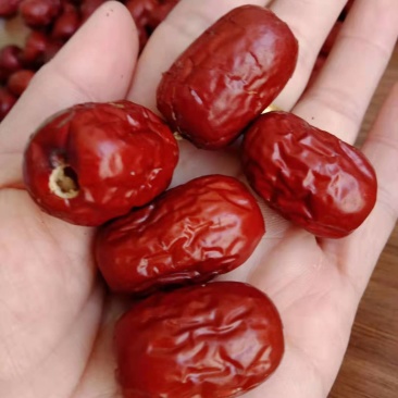 新疆无核红枣空心红枣无核灰枣厂家大量现货