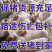 三元仔猪猪苗育肥猪供应包活到家品种优良全防疫到位