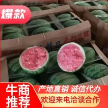 【浙江精品】早春红玉产地直发甘美4k品种齐全诚信经营