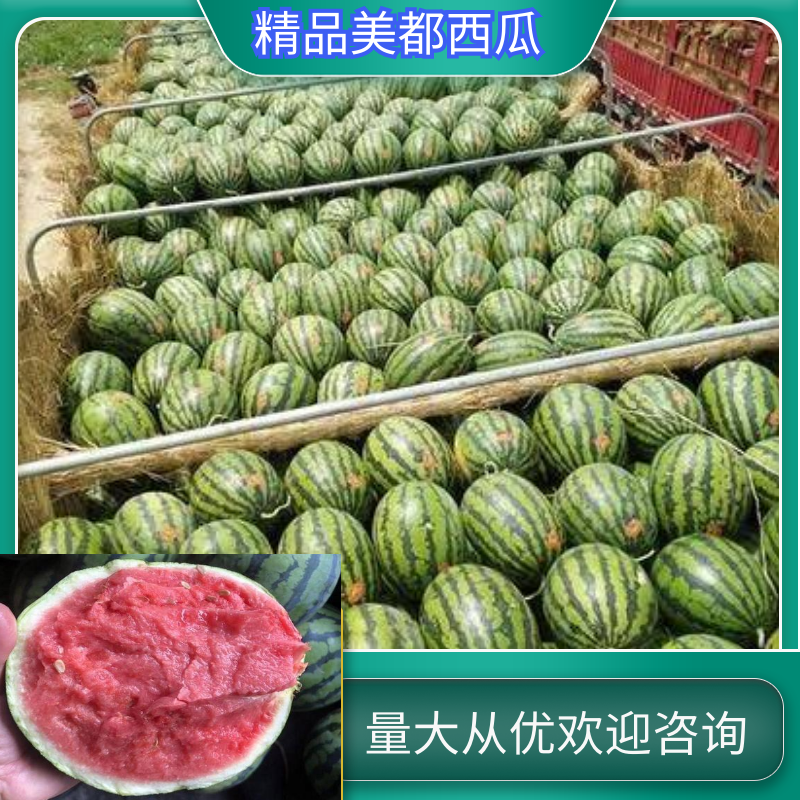 安徽砀山美都西瓜，大量上市皮薄汁多口感脆甜，熟度高，