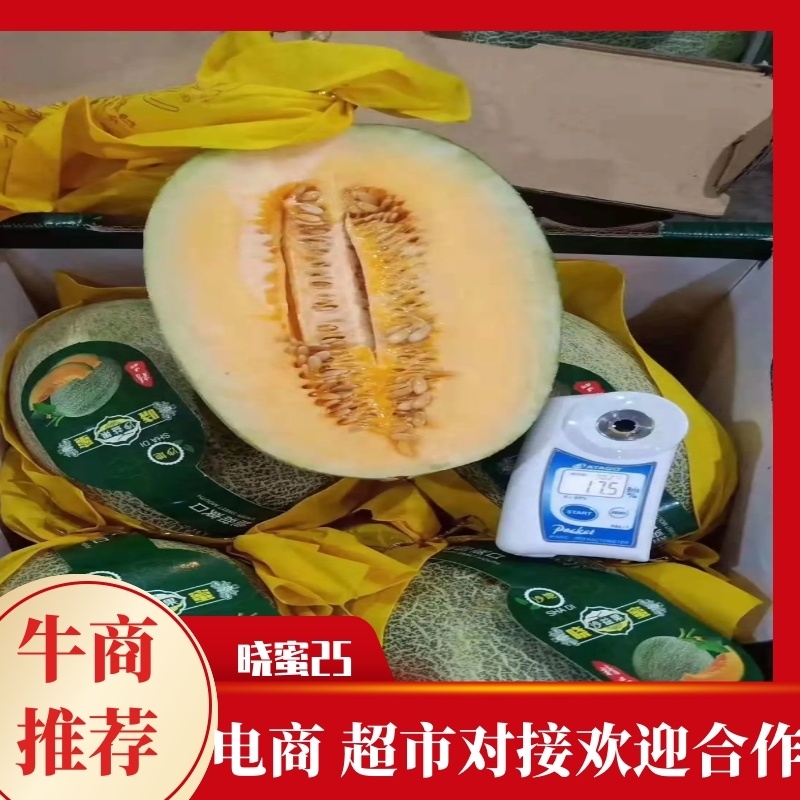 山东西周蜜，诚接大型电商，超市，批发价格便宜，