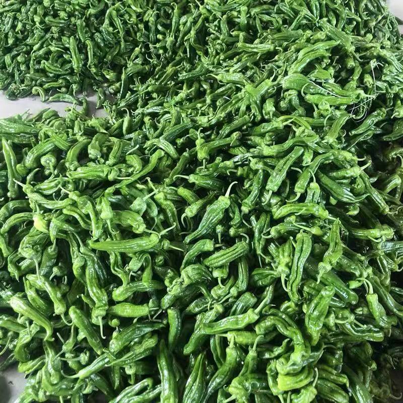 【辣椒】鲜辣椒精品八号椒2021新鲜上市皮薄微辣