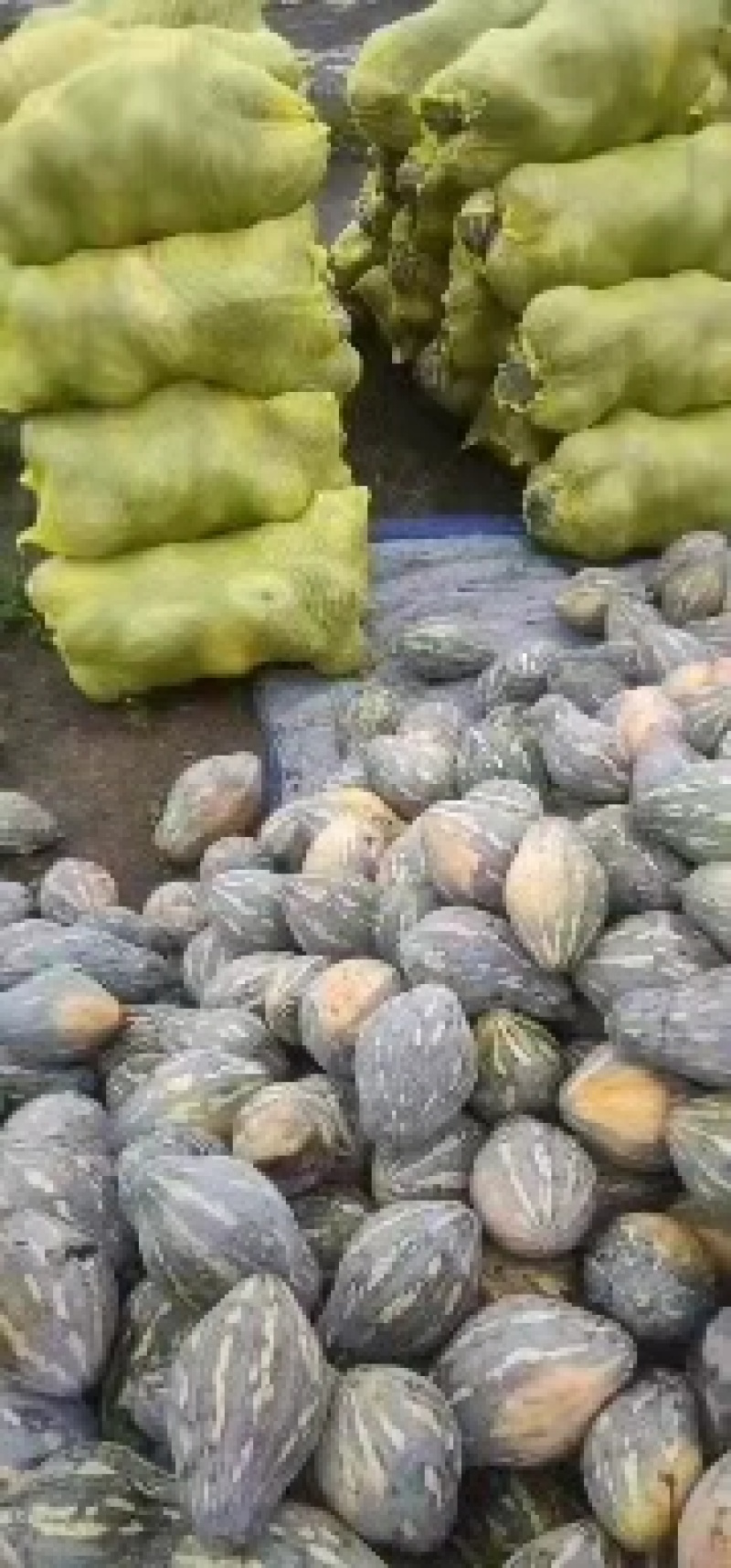 香芋南瓜广东特色南瓜味道好大量上市一手货源欢迎咨询