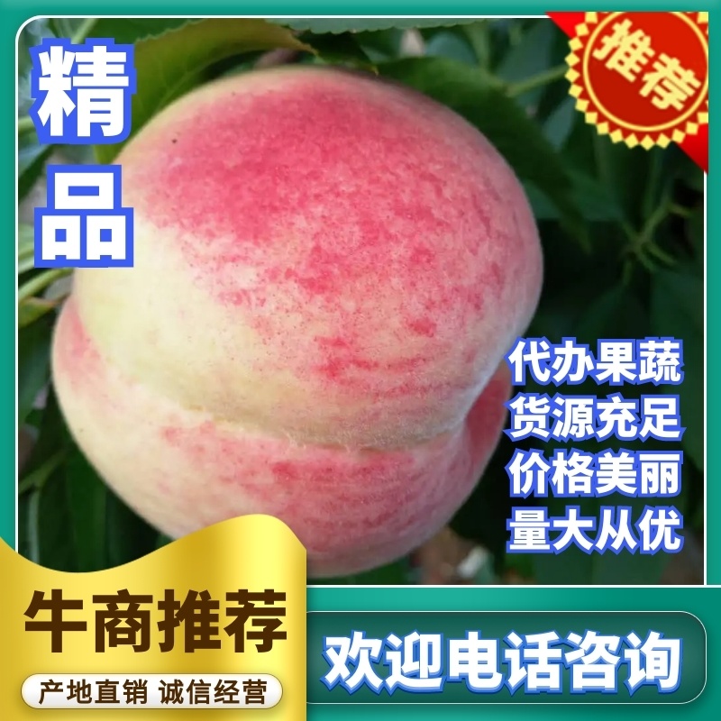 突围桃硬质平顶优质货源量大产区实力代办对接批发商