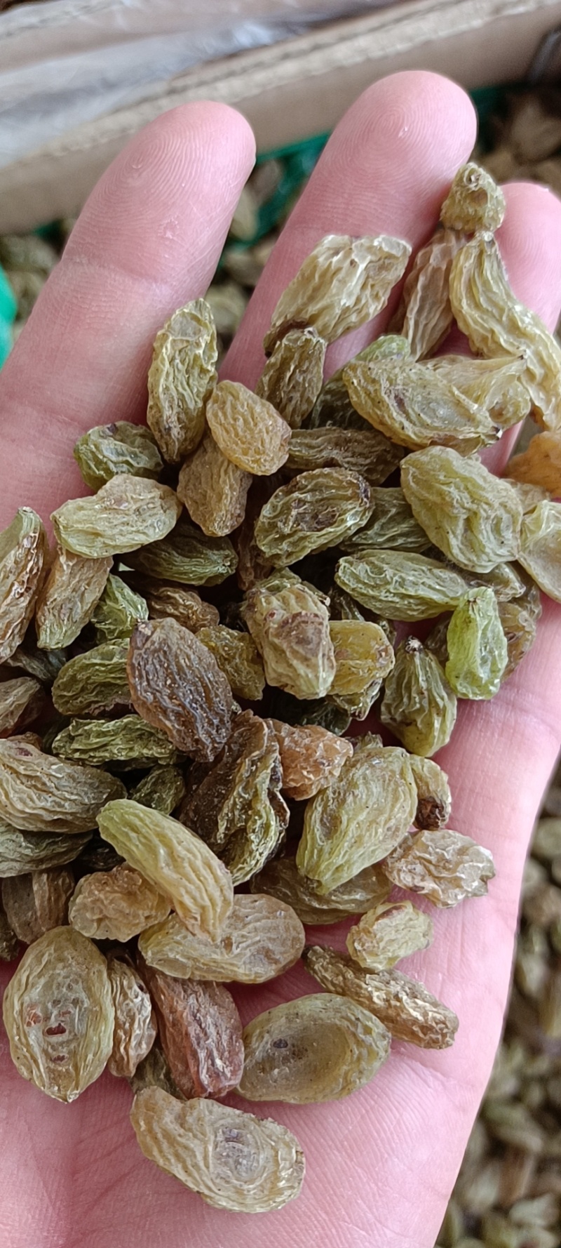 新疆吐鲁番葡萄干厂家直供品质保证当天发货