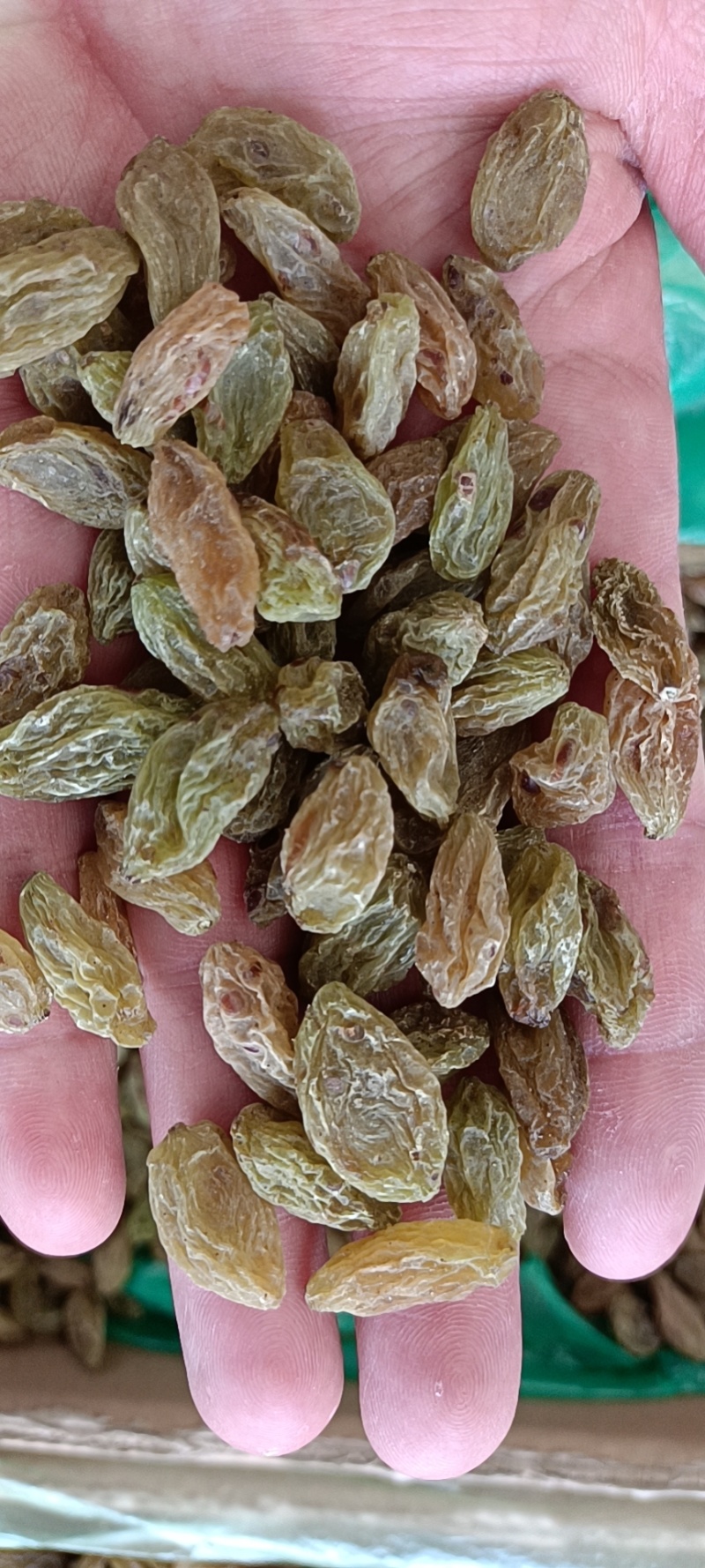新疆吐鲁番葡萄干厂家直供品质保证当天发货