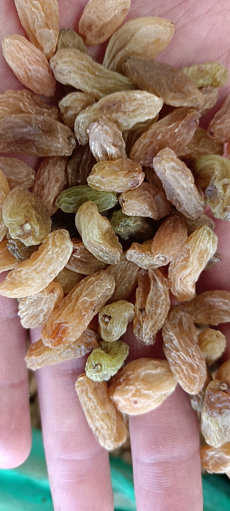 新疆吐鲁番葡萄干厂家直供品质保证当天发货
