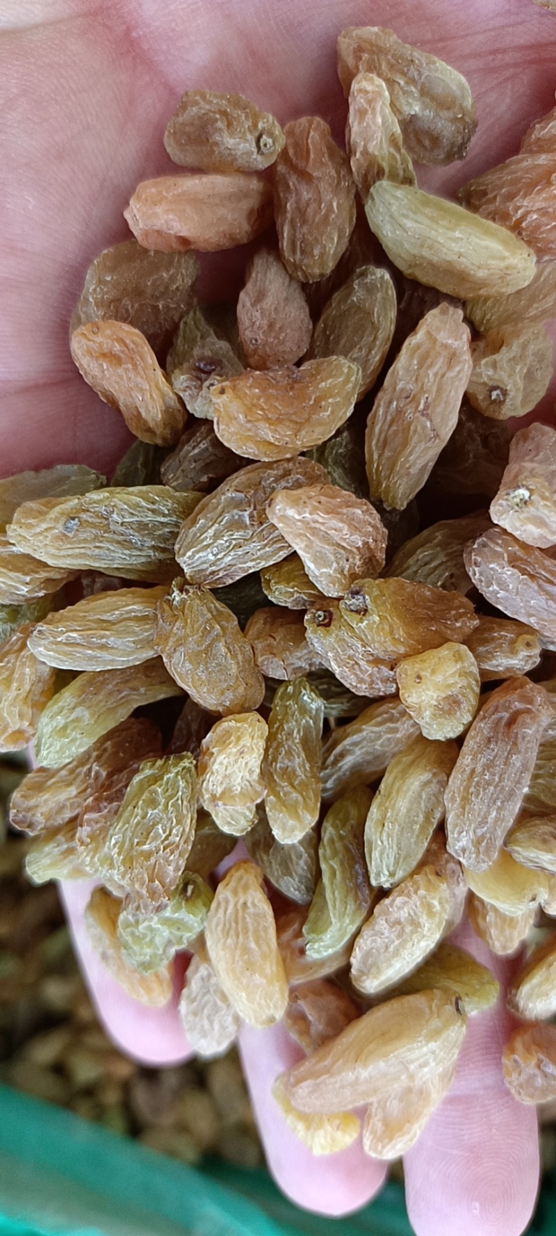 新疆吐鲁番葡萄干厂家直供品质保证当天发货