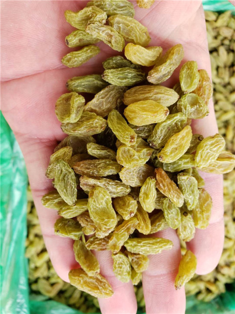 新疆吐鲁番葡萄干厂家直供品质保证当天发货