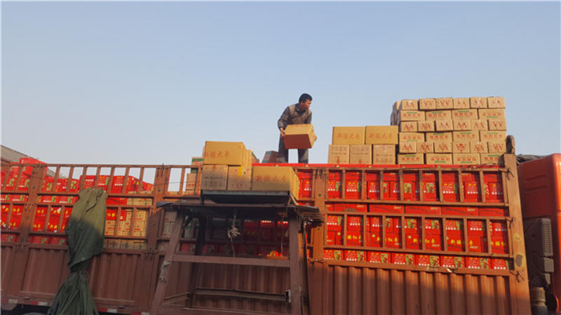 新疆若羌去核枣去核红枣箱装厂家直供电商一手货源
