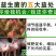 益富源牛羊益生菌调理肠胃消化拉稀反刍动物用饲料添加剂犊牛