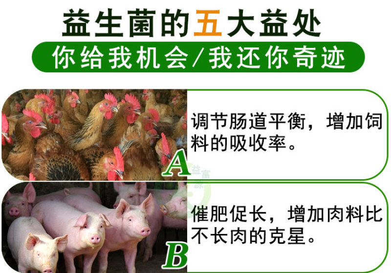 益富源牛羊益生菌调理肠胃消化拉稀反刍动物用饲料添加剂犊牛